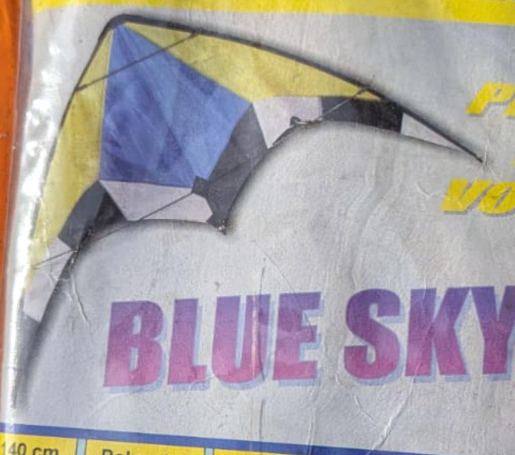 Cerf-volant bluesky 140x74 cm, Sports & Fitness, Enlèvement, Comme neuf, Deux lignes, Cerf-volant
