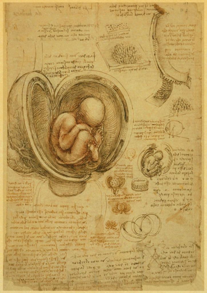 superTableau didactique  foetus 30X42cm sur toile, Enlèvement ou Envoi, Neuf