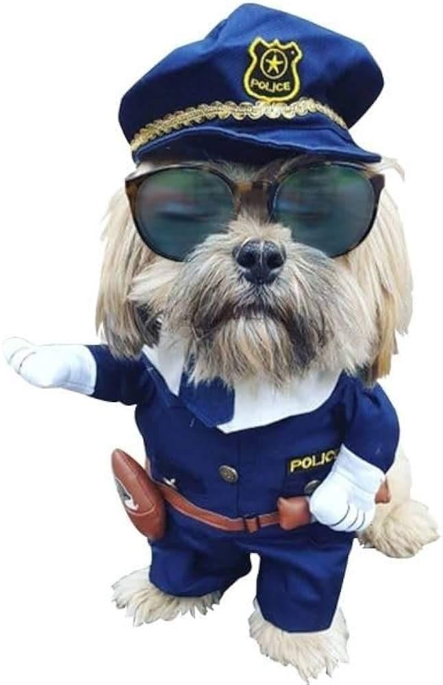 politie pak hond/kat, Ophalen of Verzenden