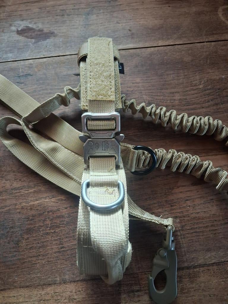Collier avec poignée et laisse élastique 1M., Animaux & Accessoires, Laisses pour chiens, Enlèvement ou Envoi
