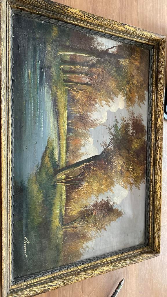 Landschap kader afm 60cmx40 cm.    Hantekening nt gd t lezen, Enlèvement
