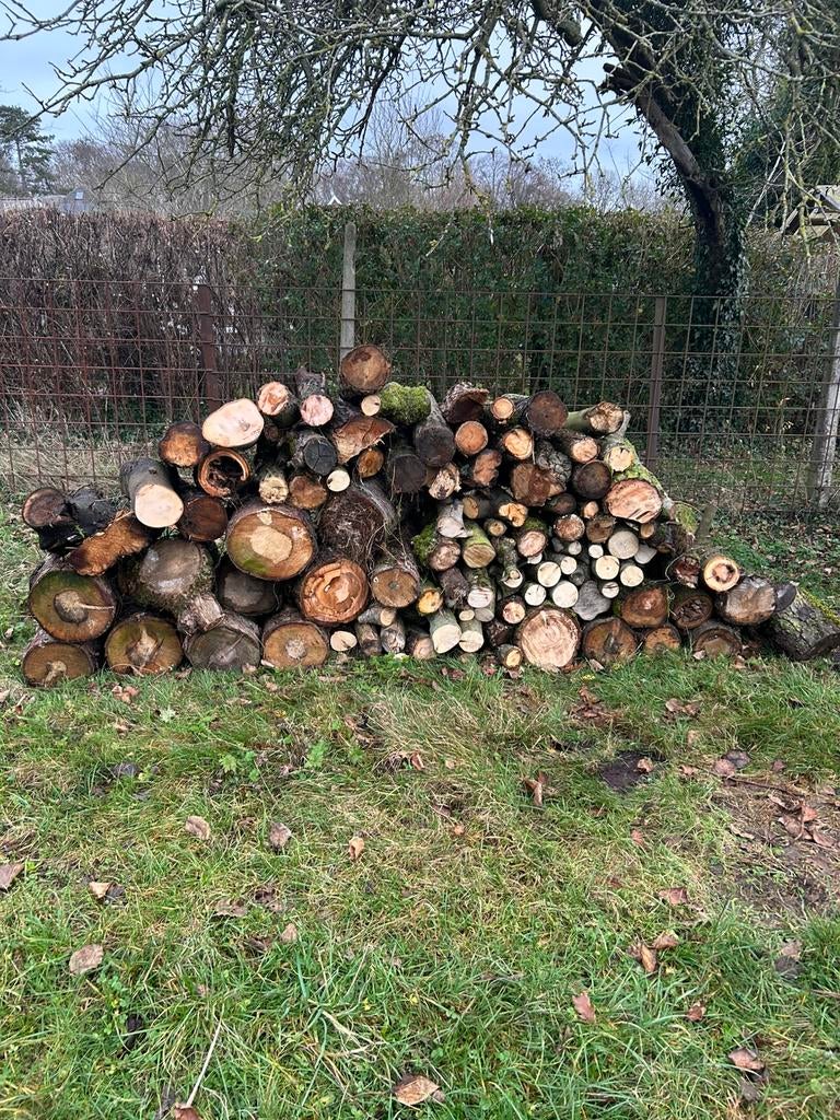 Bois de chauffage a refendre, Enlèvement