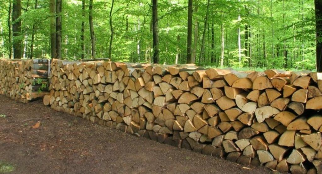 Bois Chauffage PROFESSIONNELS et Consommateurs Gros volumes, 6 m³ ou plus, Envoi, Autres essences de bois, Bûches