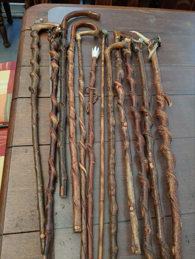 Natuurlijk hout met stok/stok, gemarteld, Diversen, Wandelstokken, Ophalen of Verzenden