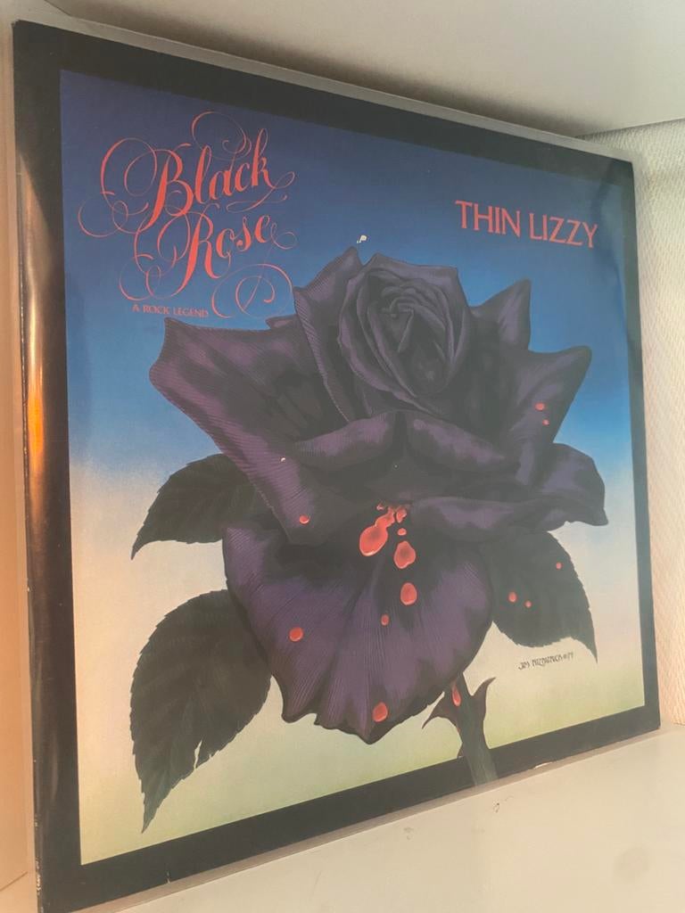 Thin Lizzy – Black Rose - A Rock Legend - Netherlands 1979, Envoi, Utilisé