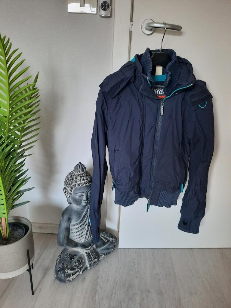 Winterjas Superdry maat M, Kleding | Dames, Ophalen of Verzenden