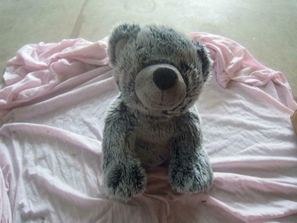 knuffel nicotoy beer (doos 100), Enlèvement ou Envoi, Neuf, Ours