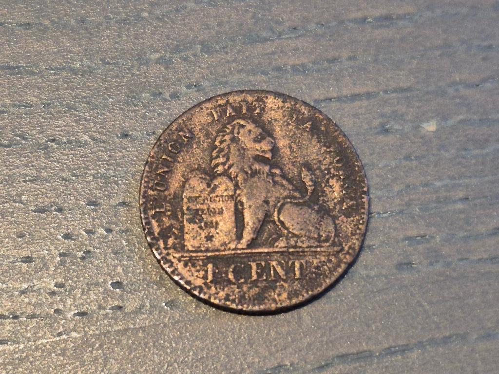 Pièce belge Léopold II roi des belges 1876 1 cent, Enlèvement ou Envoi