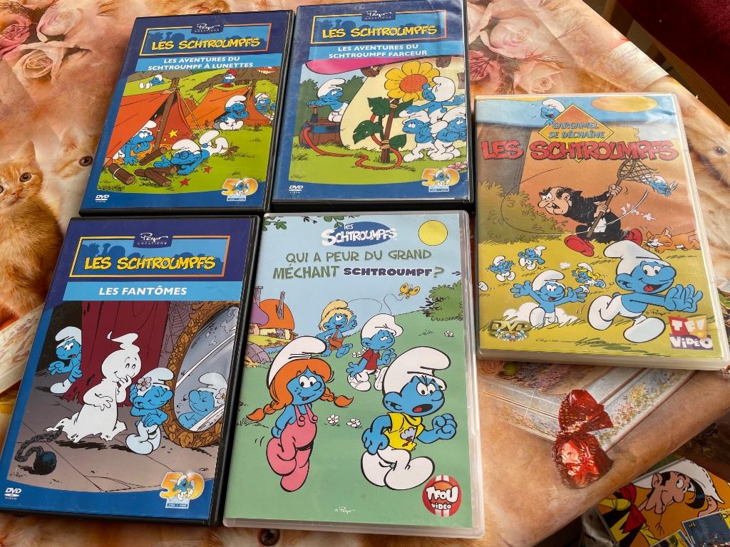 DVD les schtroumpfs, CD & DVD, DVD | Enfants & Jeunesse, À partir de 6 ans, Enlèvement ou Envoi, Utilisé, TV fiction