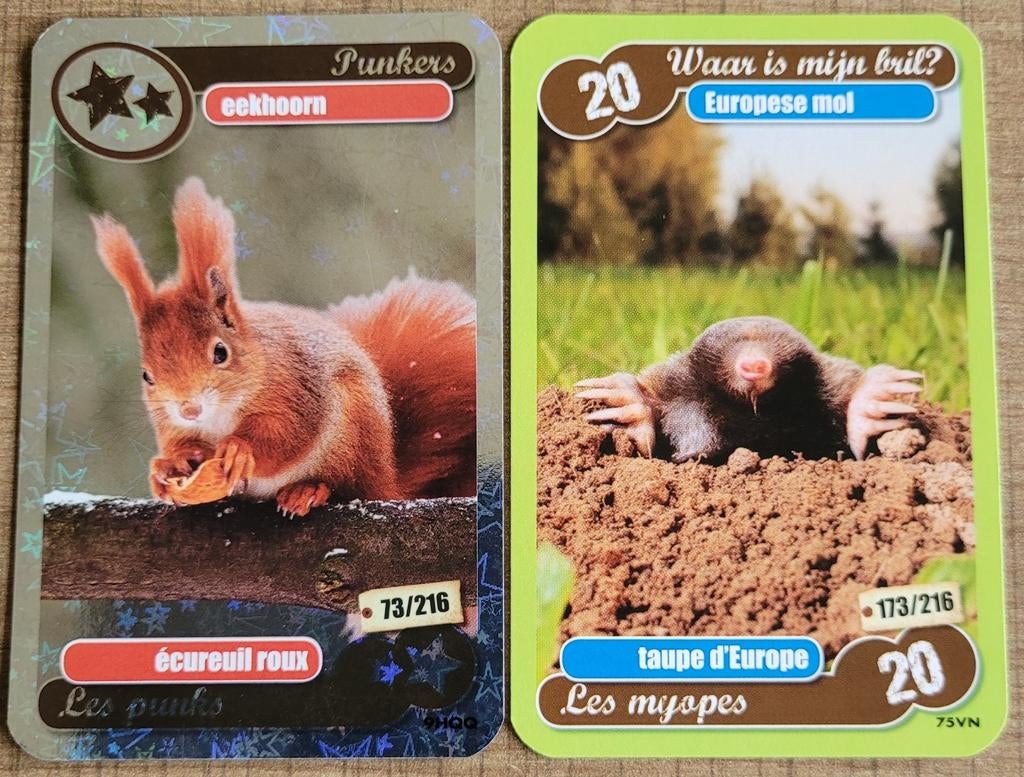 2 fotokaarten: eekhoorn en mol, 1980 tot heden, Ophalen of Verzenden, Zo goed als nieuw, Dier