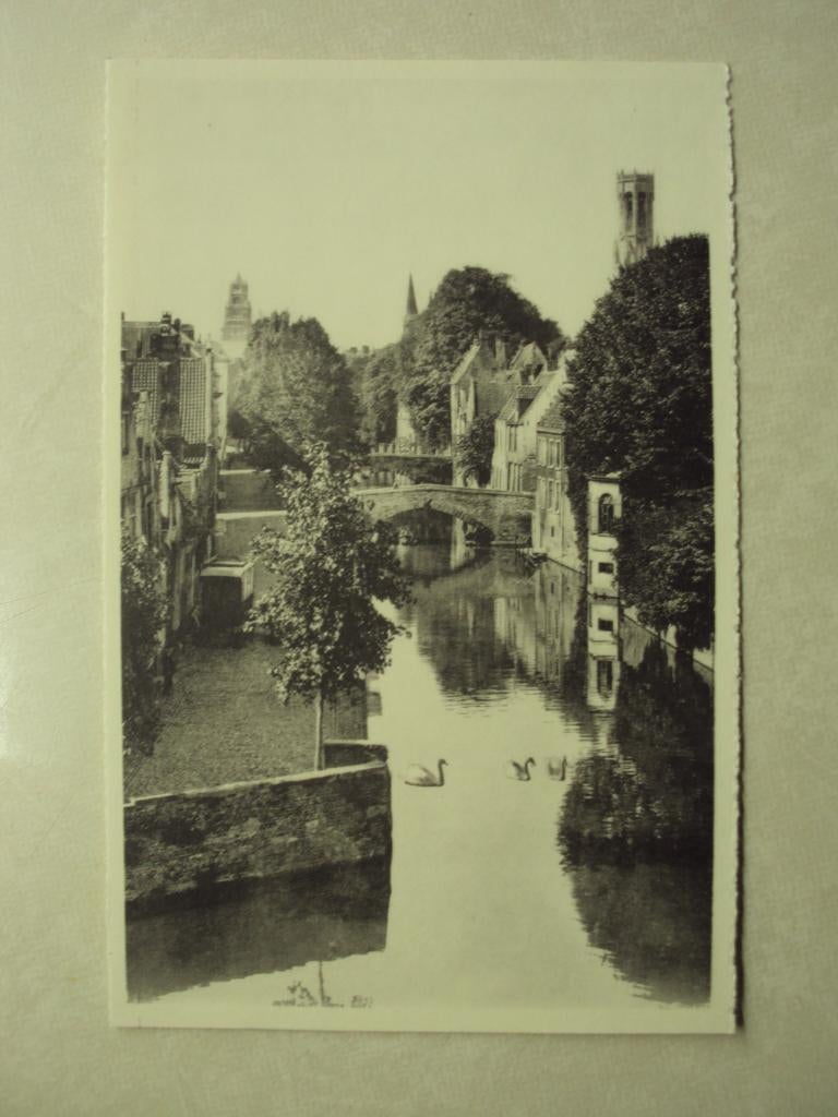 55129 - BRUGGE - GROENE REI - ZIE 2 FOTOS, Verzenden