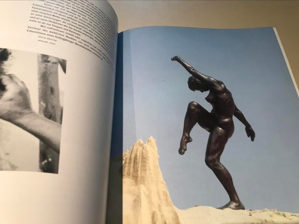 Irénée Duriez Sculpturen 120pag groot formaat, Ophalen of Verzenden, Zo goed als nieuw, Beeldhouwkunst