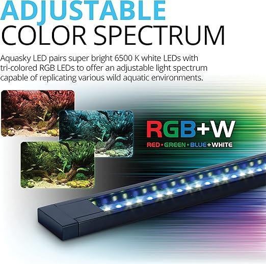 Aquarium 123L | aquarium d'eau douce | LIVRAISON GRATUITE, Animaux & Accessoires, Neuf, -, -, Aquarium vide
