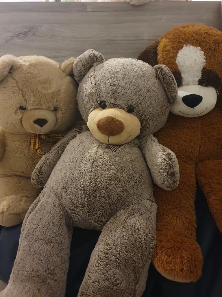 Grote teddyberen x3, Verzamelen, Ophalen of Verzenden