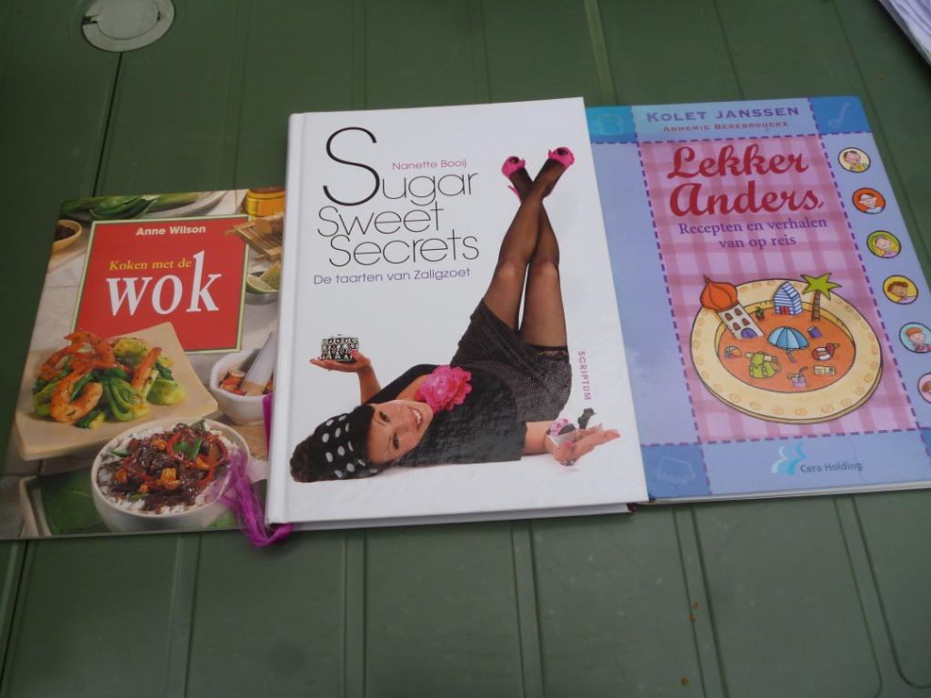 KinderKookboek Lekker anders,recepten,verhalen van op reis, Enlèvement ou Envoi