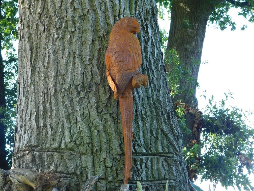 Papegaai XL in Oxide - Gietijzer - Wanddecoratie, Tuin en Terras, Ophalen of Verzenden