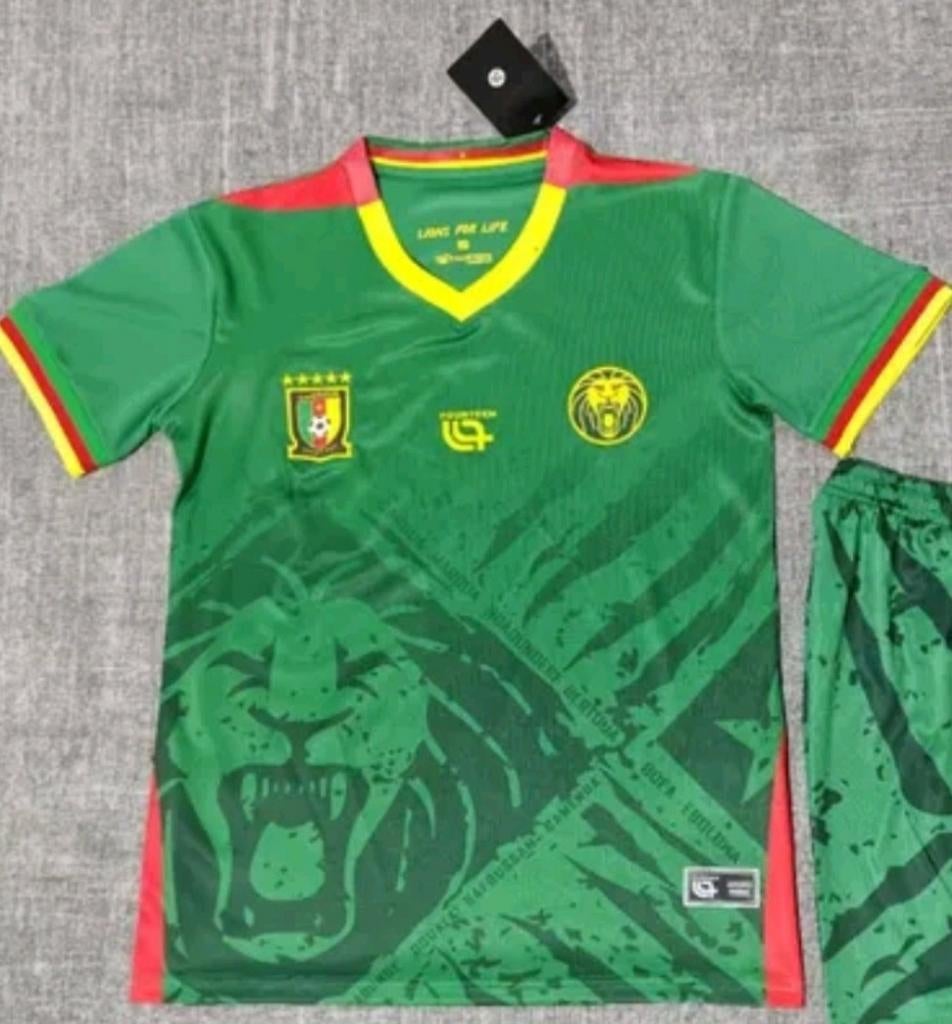 Kameroen Thuisshirt Orgineel Afrika Cup Nieuw 2025, Ophalen of Verzenden, Zo goed als nieuw