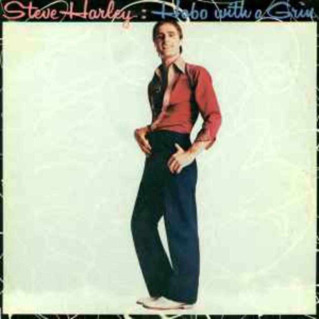 Steve Harley - Zwerver met een grijns, Verzenden, Gebruikt