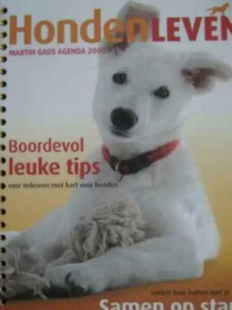 Martin Gaus / kalender, Boeken, Ophalen of Verzenden, Zo goed als nieuw, Honden