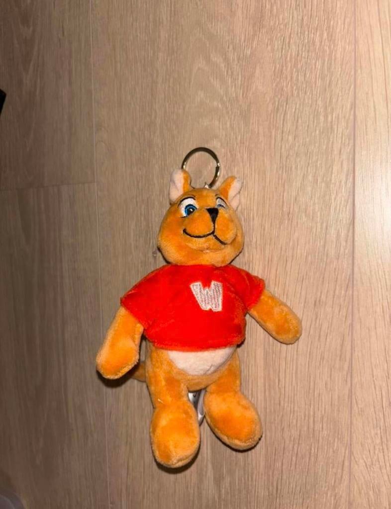 Sleutelhager walibi, Collections, Porte-clés, Enlèvement ou Envoi, Comme neuf, Peluche ou Figurine