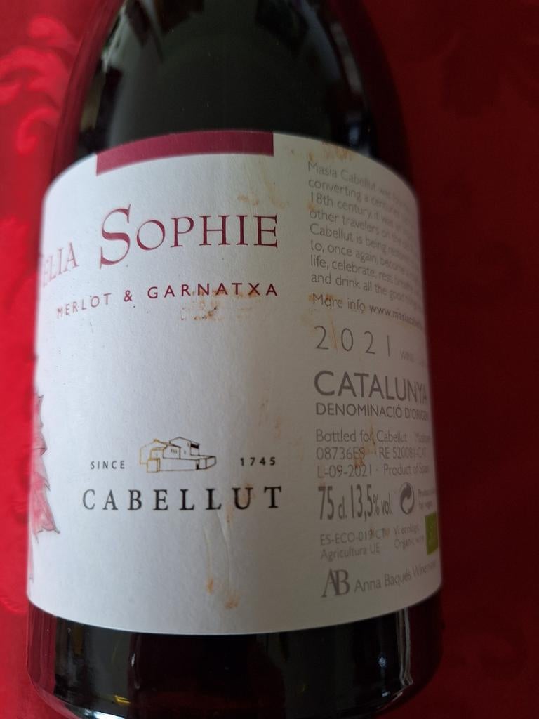1 bouteille de vin espagnol Merlot et Garnatxa, 2021, Neuf, Pleine, Enlèvement, Vin rouge