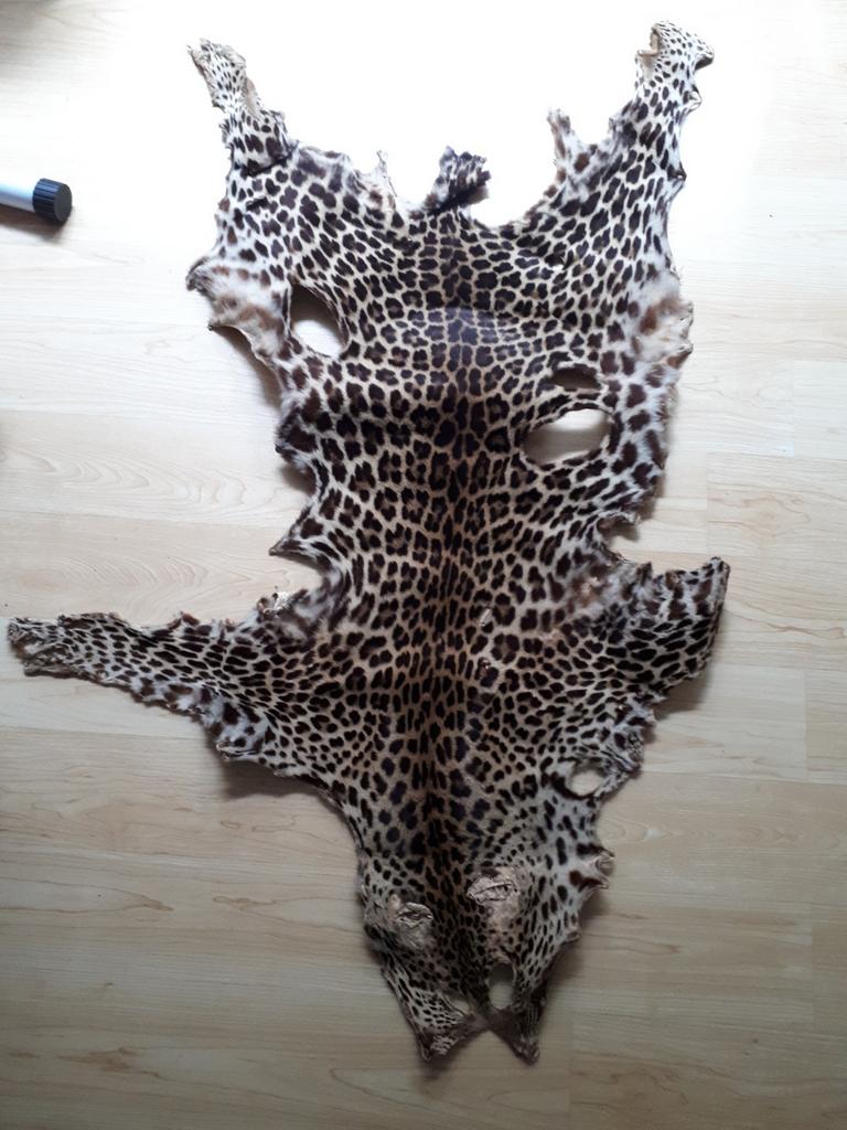 Véritable peau de léopard