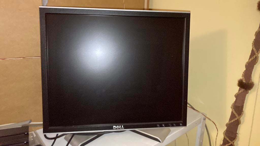 Computerscherm Dell, Enlèvement, Utilisé, 40 à 60 cm, Autres marques