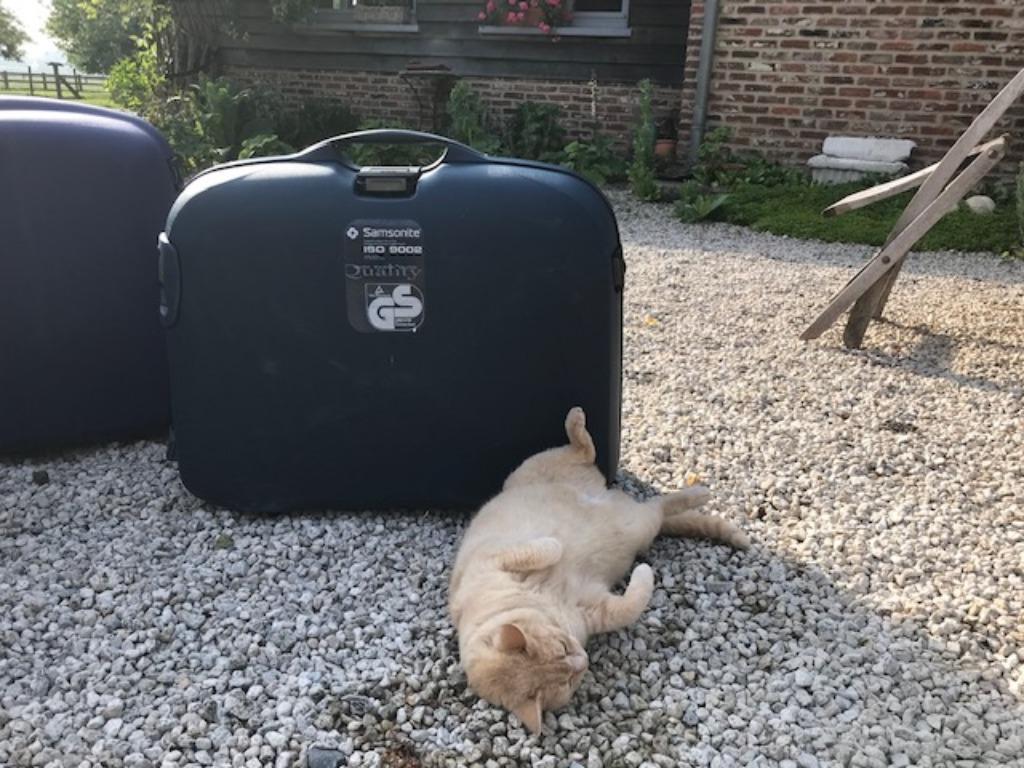 SAMSONITE STEVIGE REISKOFFER, Enlèvement, Utilisé