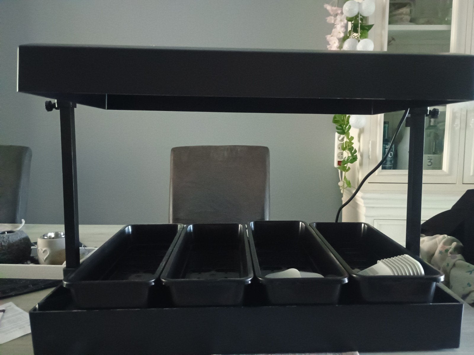 kweekkast/station, Tuin en Terras, Ophalen