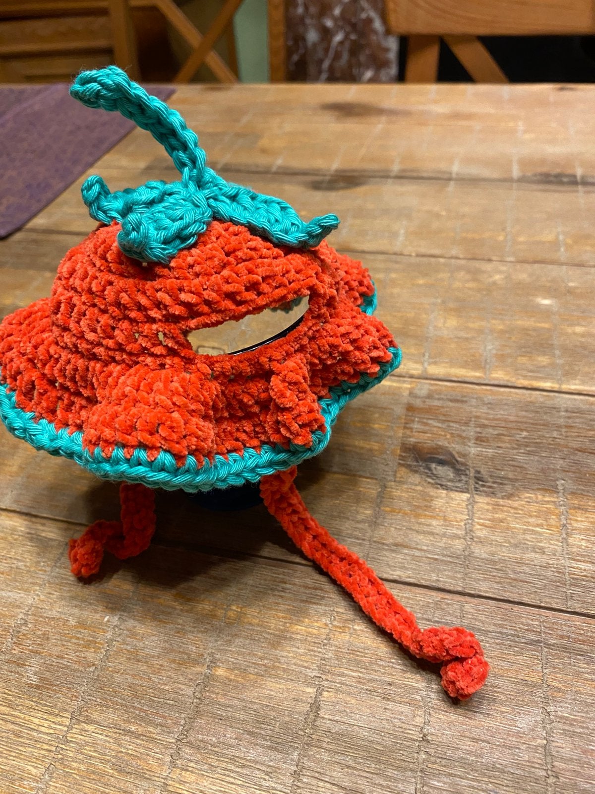 Chapeau pour petit chien, Enlèvement ou Envoi, Comme neuf