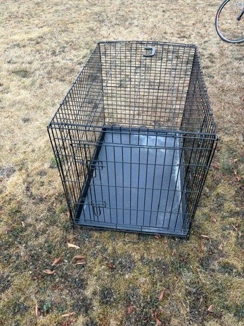 bench voor hond, Ophalen, Gebruikt