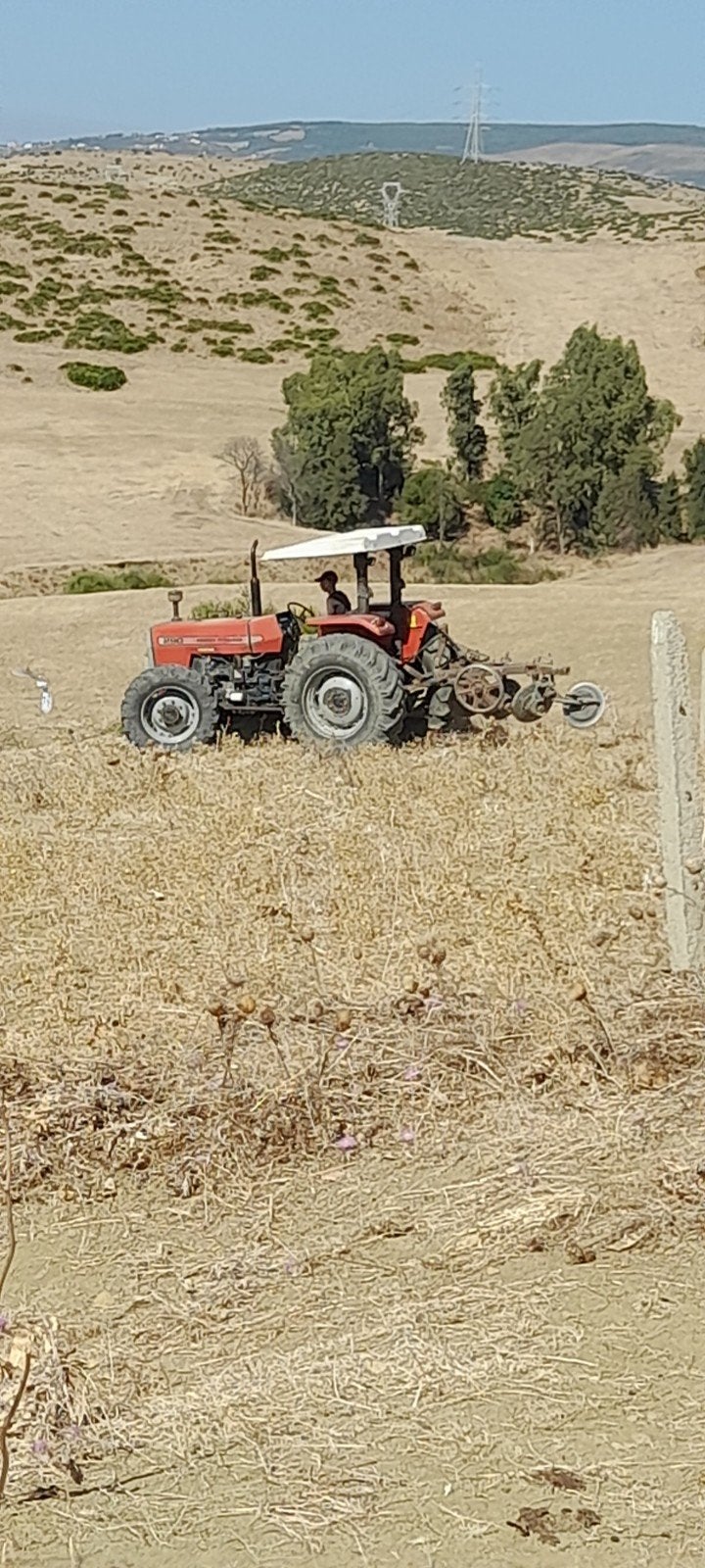 Grand terrain agricole titrè de 5498 m2 au Maroc, Immo, Tanger Maroc, Ventes sans courtier, 1500 m² ou plus
