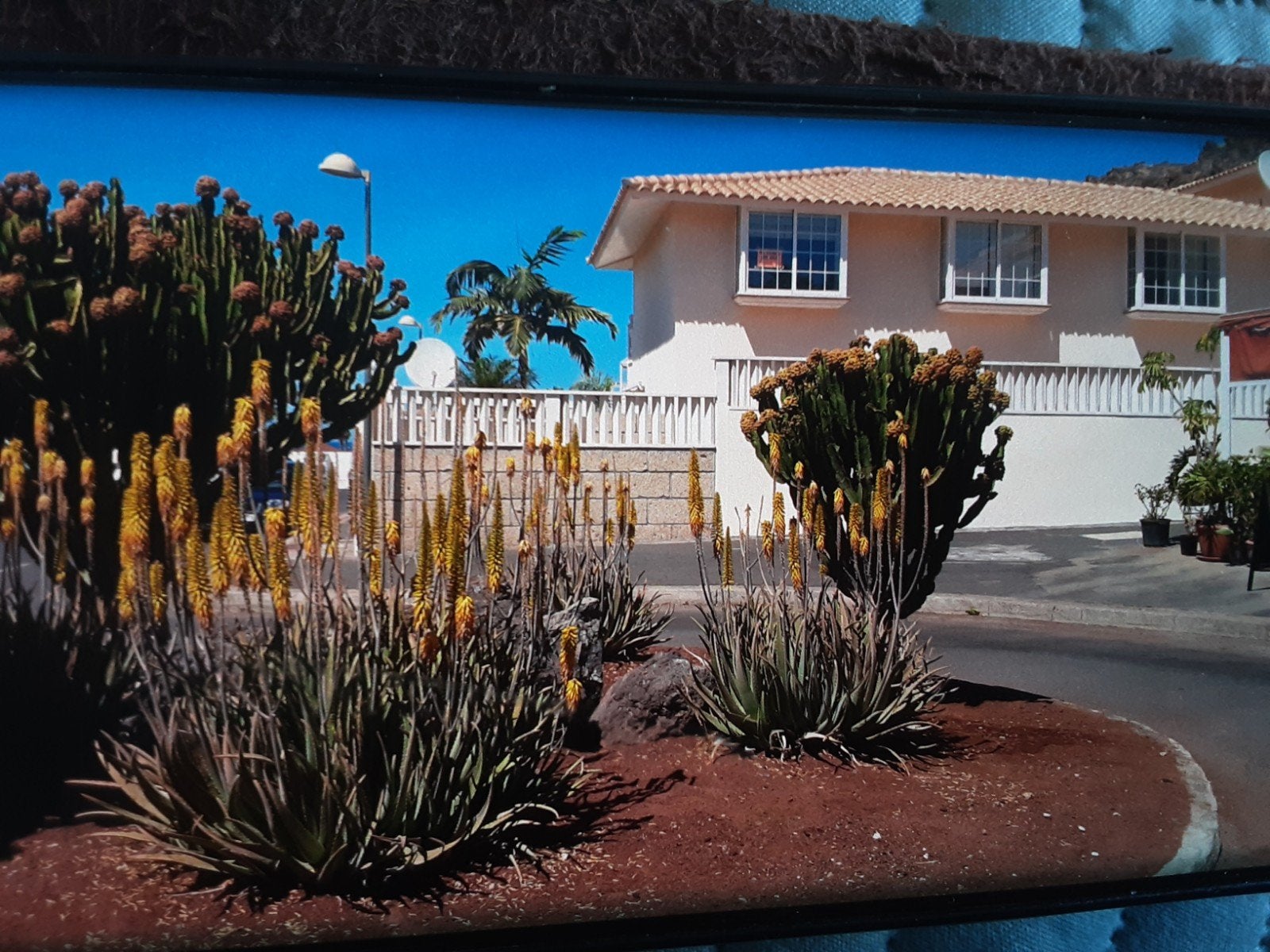 bungalow tehuur Palm Mar met verwarmd privé zwembad Tenerife, Vakantie