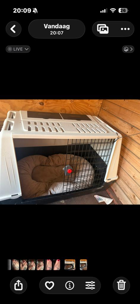 Honden bench auto, Dieren en Toebehoren, Hondenbenches, Ophalen, Zo goed als nieuw