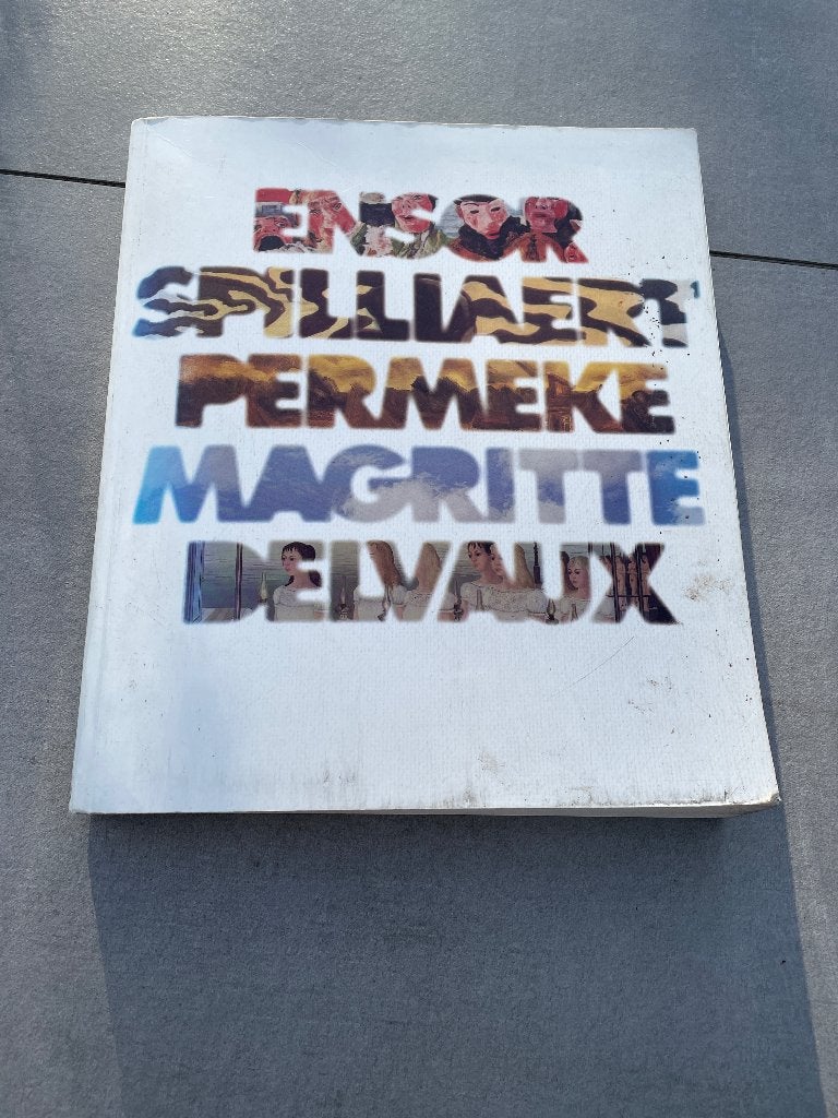 Boek Ensor Spilliaert Permeke Margritte Delvaux, Ophalen, Gelezen, Schilder- en Tekenkunst, Museum Moderne Kunst Oostende