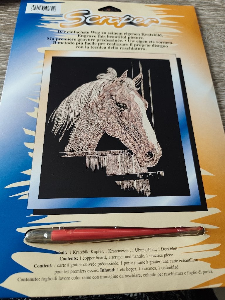 Ma première gravure prédessinée.., Enlèvement, Comme neuf, Bricolage