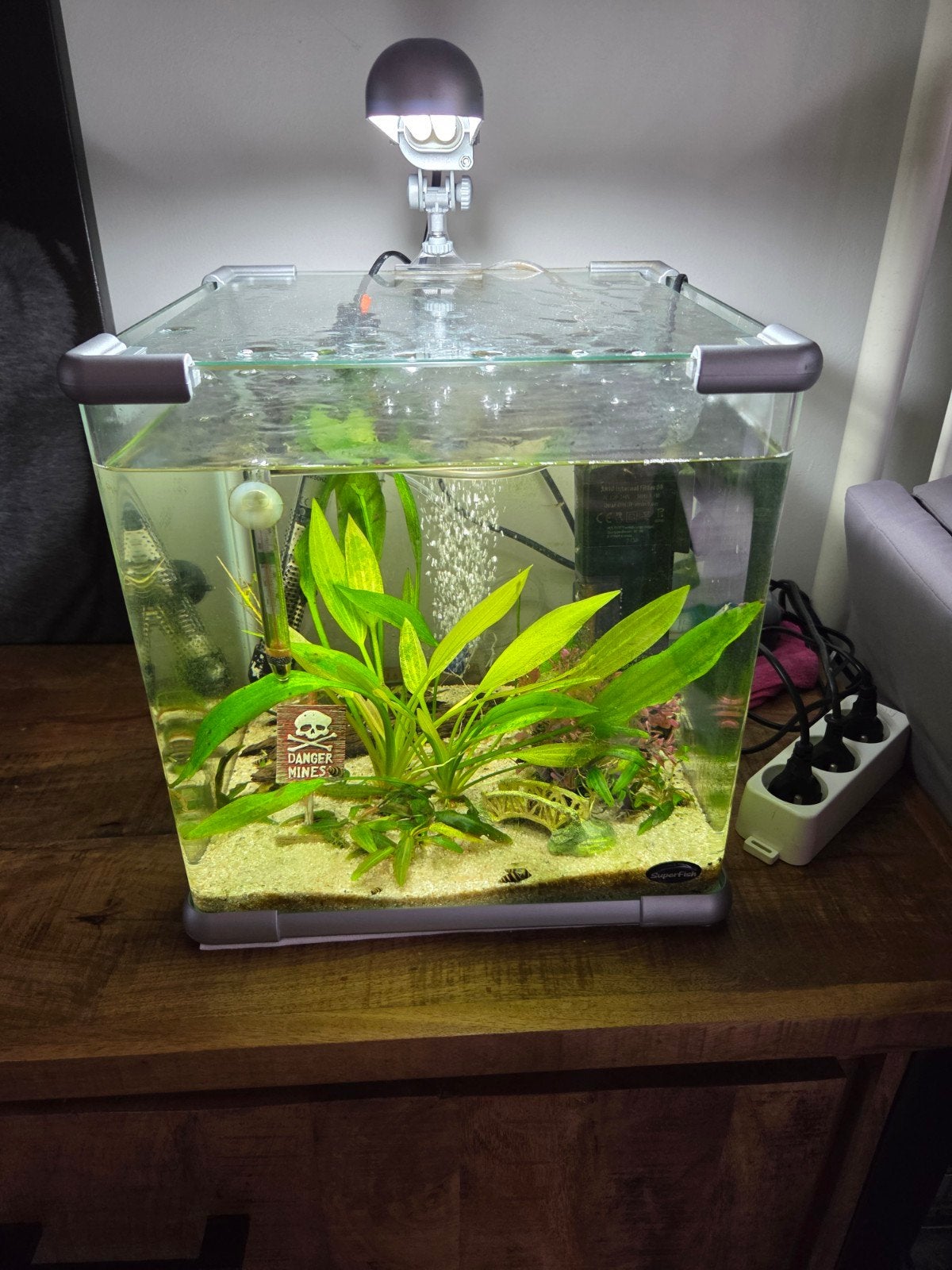 aquarium superfish 25liter met toebehoren, Dieren en Toebehoren, Ophalen, Superfish