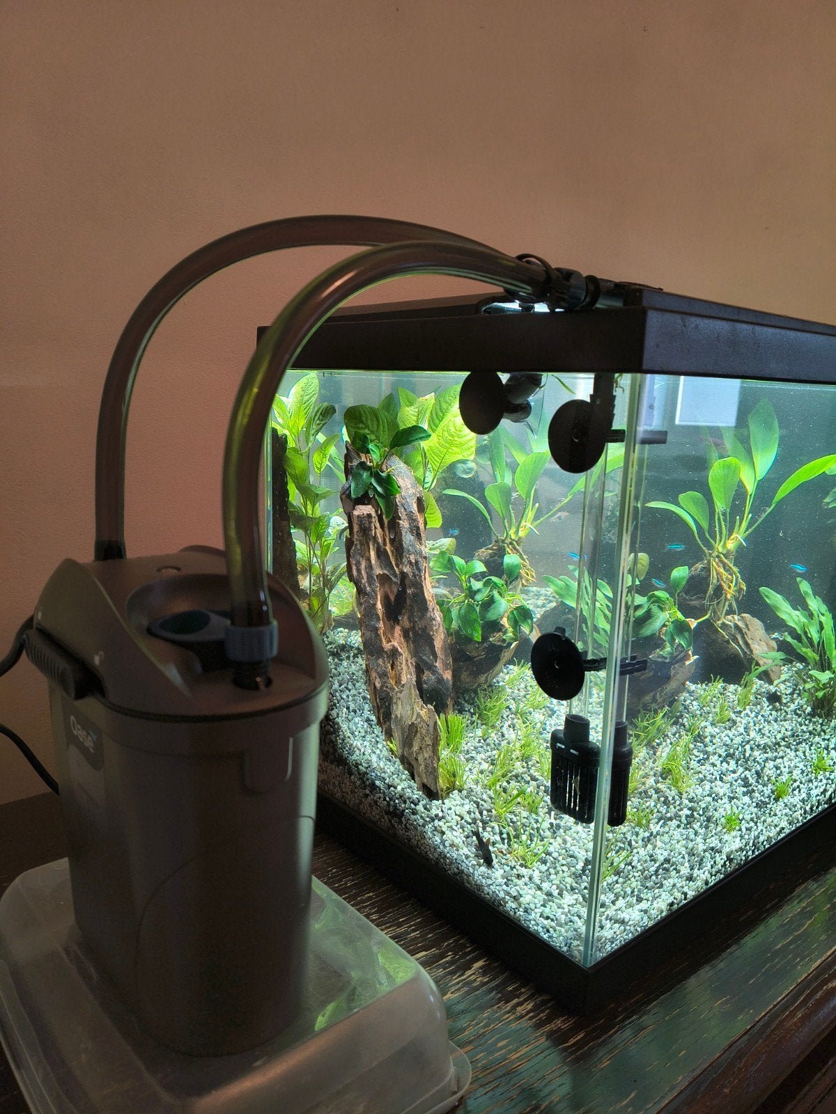 Aquarium 60L, Enlèvement, Chauffage, Filter, Oase