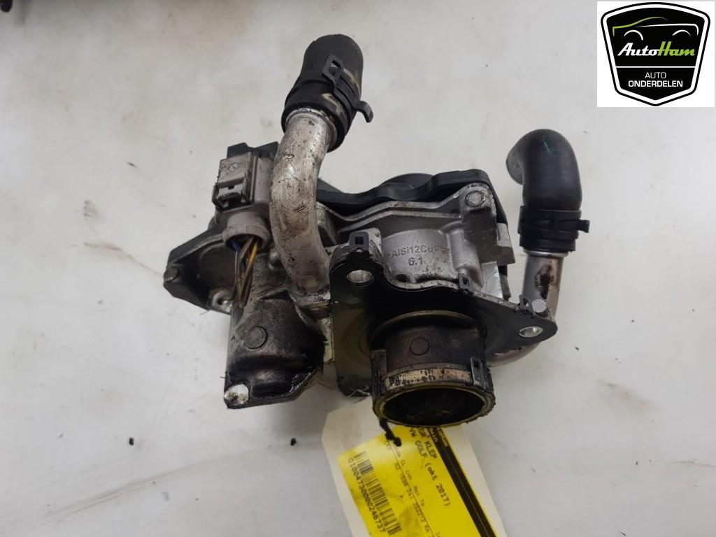VANNE EGR Volkswagen Golf VII Variant (AUVV), Utilisé, Volkswagen