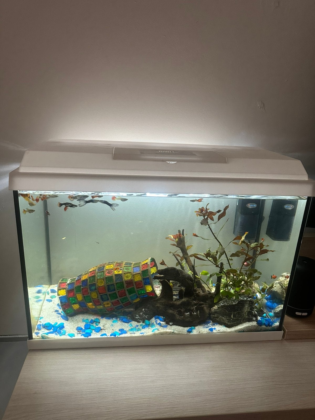 Juwel aquarium met vissen compleet, Ophalen, Zo goed als nieuw, Juwel