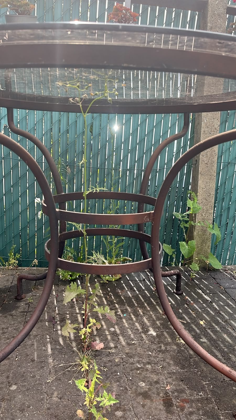 Tuintafel, Ophalen, Zo goed als nieuw, Ovaal, Metaal