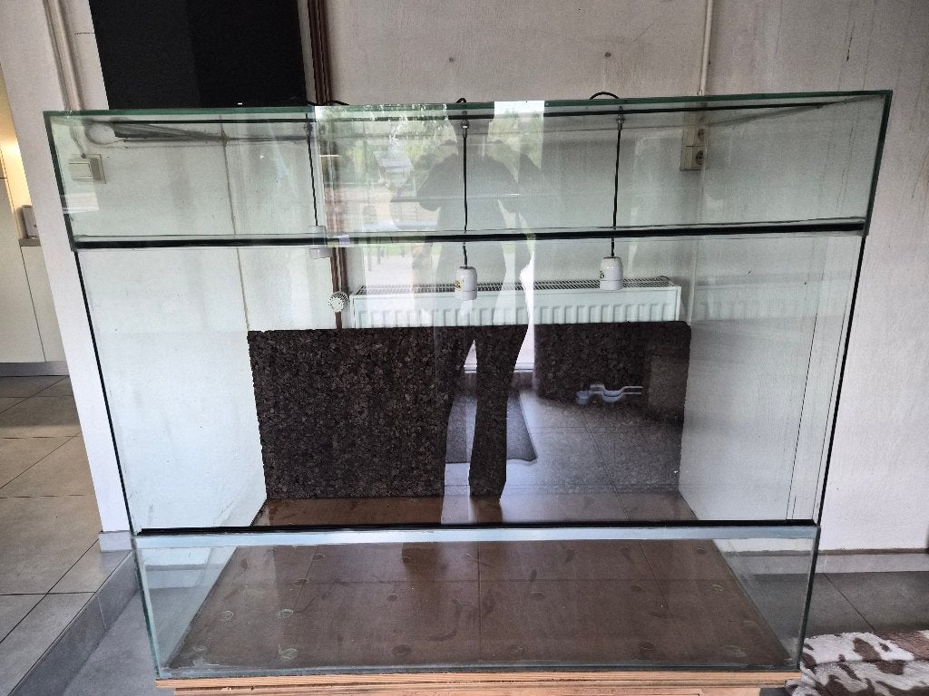 Terrarium, Animaux & Accessoires, Enlèvement, Utilisé