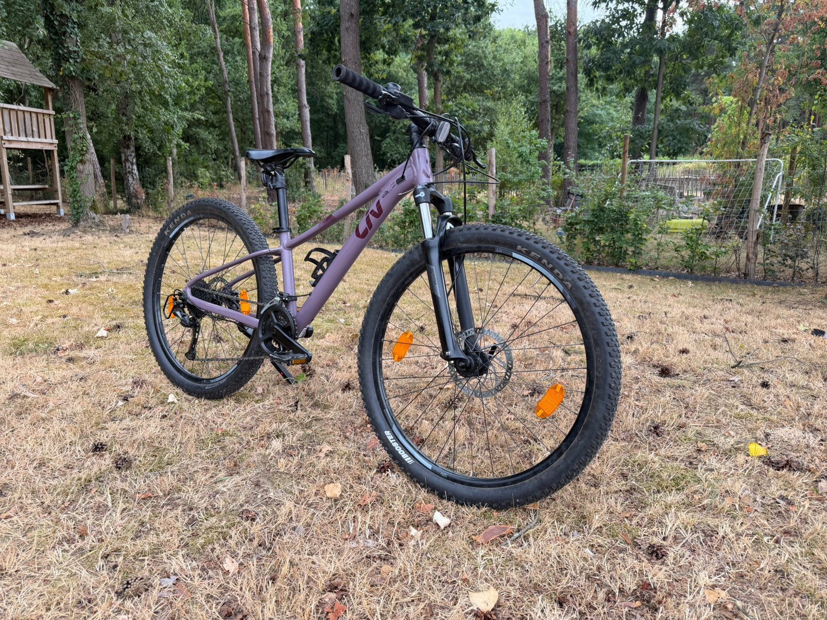 Dames/meisjes mtb Liv in zeer goede staat maat XS, Fietsen en Brommers, Hardtail, Zo goed als nieuw, Dames, Schijfrem