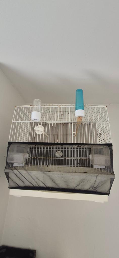 3 kooi te koop, Dieren en Toebehoren, Ophalen