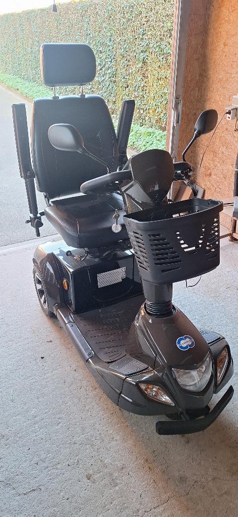 SCOOTER CARPO 3 L3 BASIS, Neuf, Enlèvement, Électrique