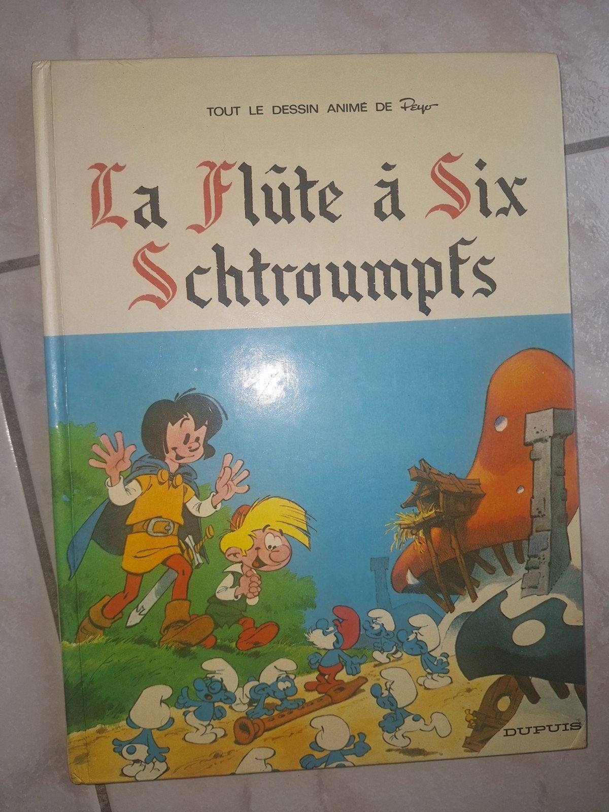 La Flûte à Six Schtroumpfs (livre), Livres, Enlèvement, Utilisé