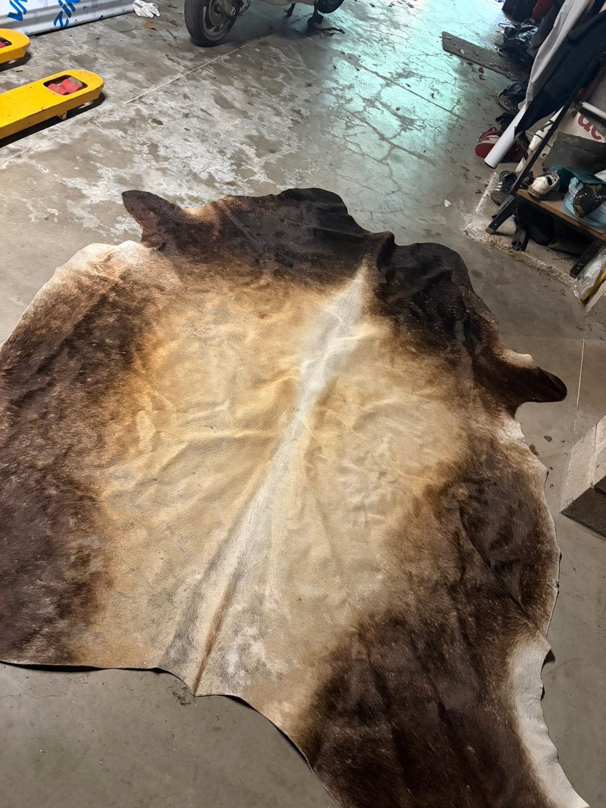 Tapis pour vaches, Enlèvement, Comme neuf