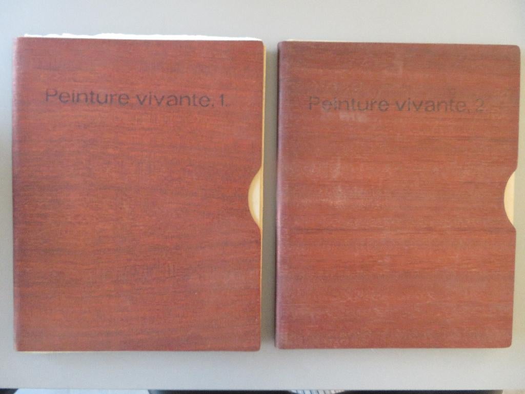 2 X verzamelbox Peinture Vivante 1960,s Ensor Rubens ea, Ophalen of Verzenden, Zo goed als nieuw, Schilder- en Tekenkunst