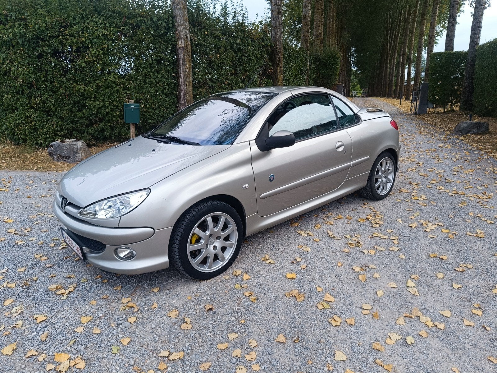 Peugeot 206cc édition Roland Garros 1.6HDI 2005, Autos, Cuir, Achat, Climatisation automatique, Cabriolet