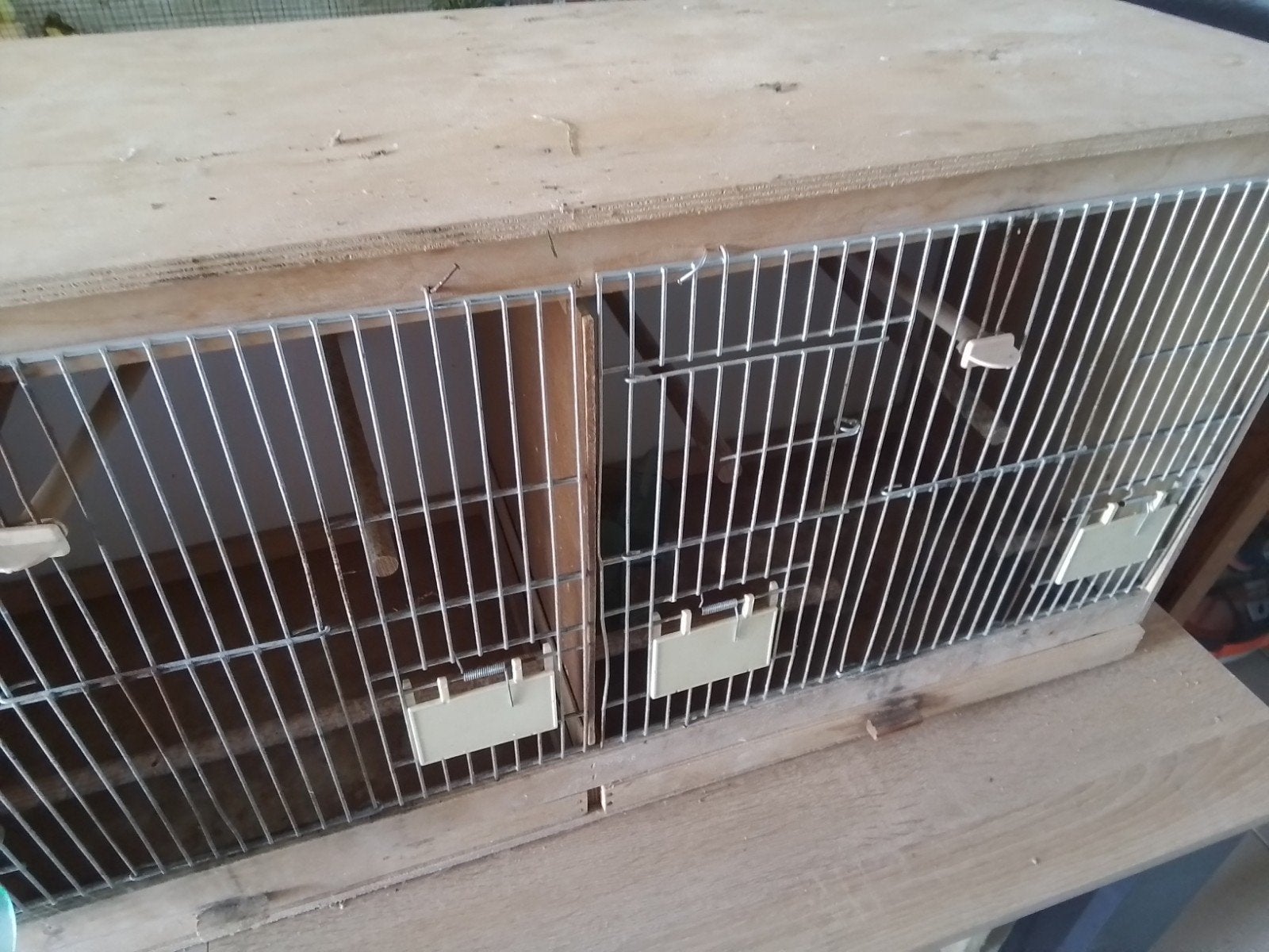 kweekkooien 3 in 1, Dieren en Toebehoren, Ophalen